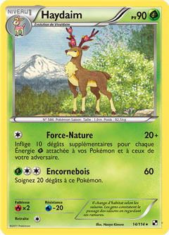 Card 14