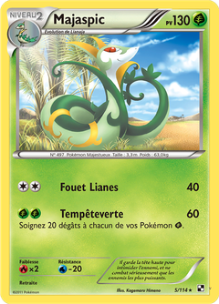 Card 5