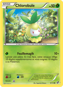 Card 9