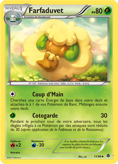 Card 11
