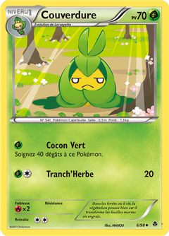 Card 6
