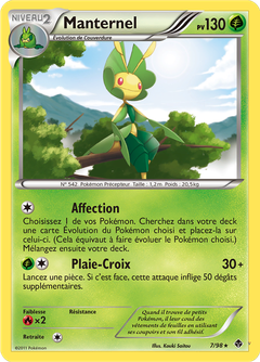Card 7