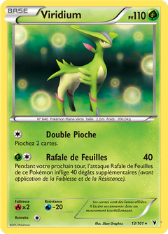 Card 13