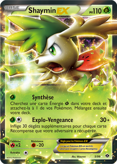 Card 5