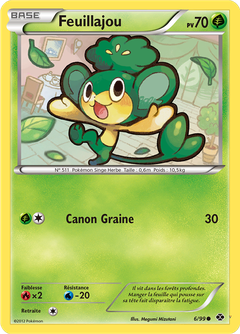 Card 6