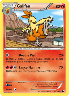 Card 16