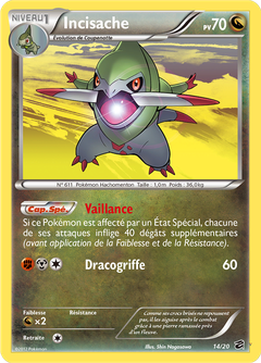 Card 14