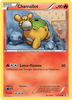 Card 21