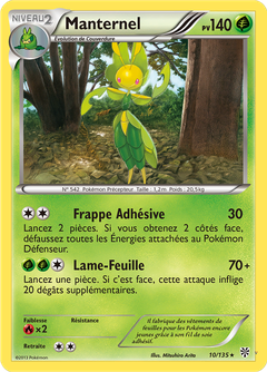 Card 10