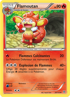 Card 20