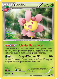 Card 7