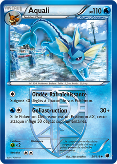 Card 20