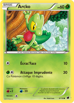Card 6