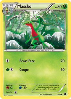 Card 7