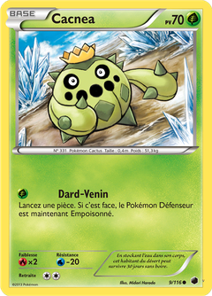 Card 9