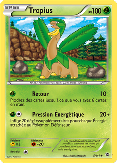 Card 5