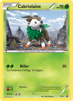Card XY11
