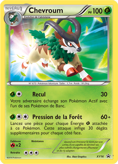 Card XY16
