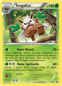 Card XY23