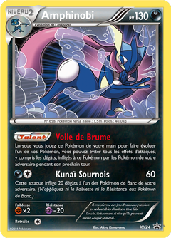 Card XY24