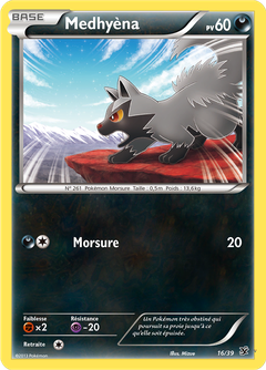 Card 16