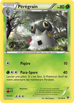 Card 16