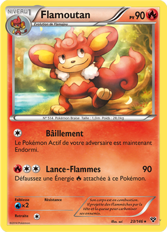 Card 23
