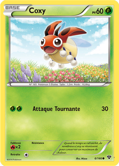 Card 6