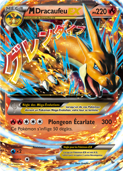 Card 13