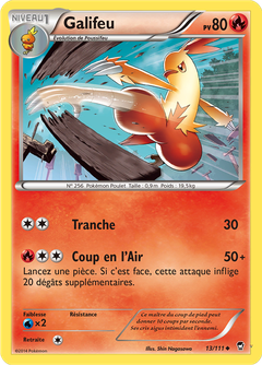 Card 13
