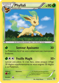 Card 7