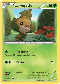 Card 5