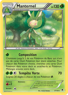 Card 7