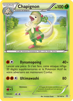 Card 16