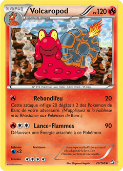 Card 23