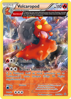 Card 24