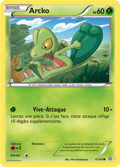 Card 6