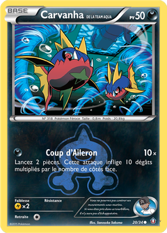 Card 20