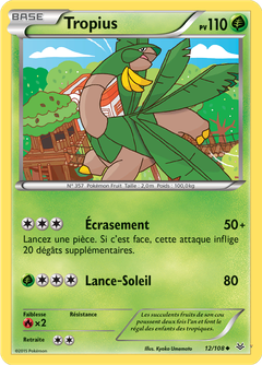 Card 12