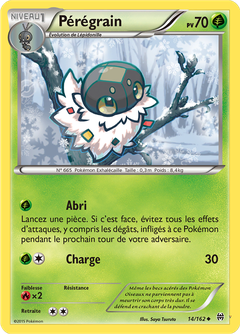 Card 14