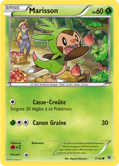 Card 7
