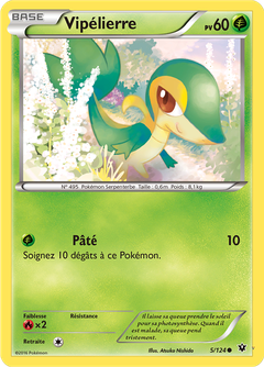 Card 5