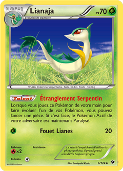 Card 6