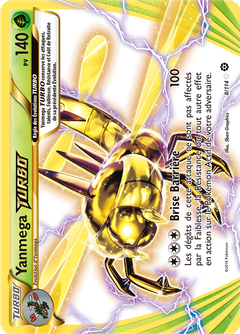 Card 8