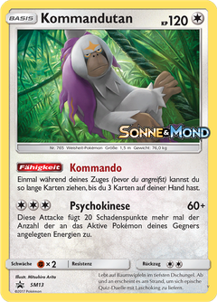 Card SM13