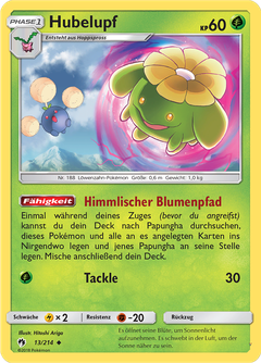 Card 13