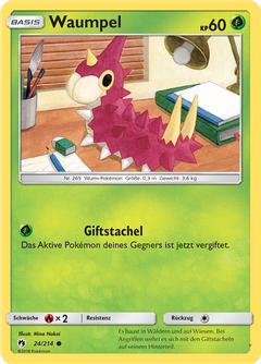 Card 24