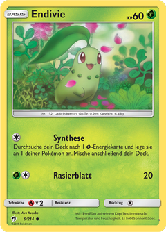 Card 5