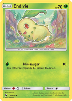 Card 6
