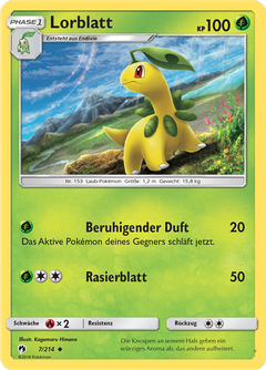 Card 7